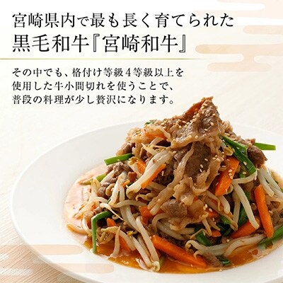【宮崎県産】 黒毛和牛4等級以上使用 小間切れ500g×2P