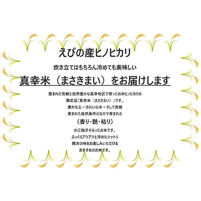 令和6年産宮崎県えびの市産ヒノヒカリ(真幸米)20kg