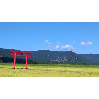 【毎月定期便】宮崎県えびの市産ヒノヒカリ 真幸米 5kg　全3回