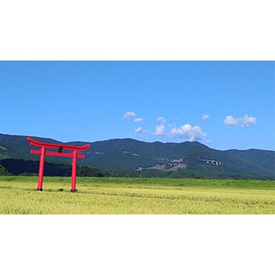 【毎月定期便】宮崎県えびの市産ヒノヒカリ 真幸米 10kg 全6回