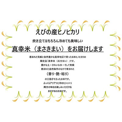 【毎月定期便】宮崎県えびの市産ヒノヒカリ 真幸米 10kg 全6回