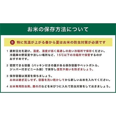 【毎月定期便】宮崎県えびの市産ヒノヒカリ 真幸米 10kg 全6回