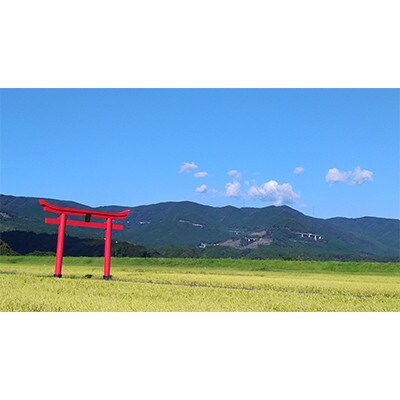 【毎月定期便】宮崎県えびの市産ヒノヒカリ 真幸米 10kg全3回