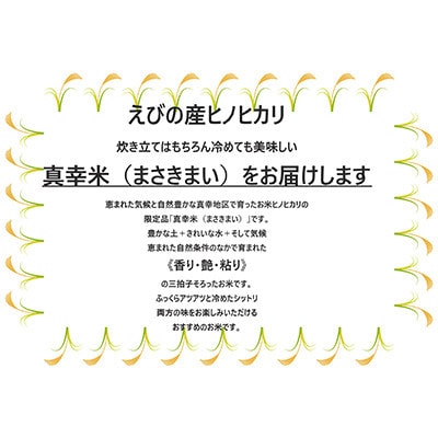 【毎月定期便】宮崎県えびの市産ヒノヒカリ 真幸米 10kg全6回