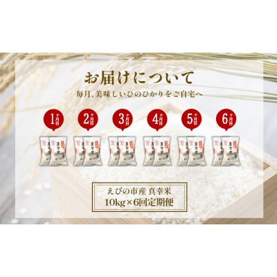 【毎月定期便】宮崎県えびの市産ヒノヒカリ(真幸米)10kg全6回