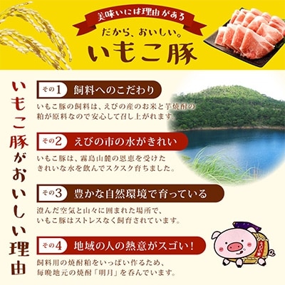 えびの市発(彩)いもこ豚鍋用セット(500g×3種類)