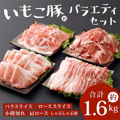 2023年3月発送開始『定期便』えびの市発(彩)いもこ豚バラエティセット(1.6kg) 全3回