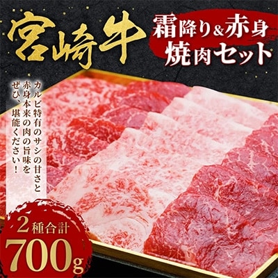 宮崎牛霜降り&赤身焼肉セット700g