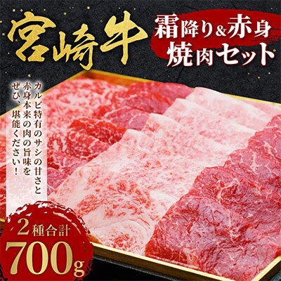 【発送月固定定期便】宮崎牛霜降り&赤身焼肉セット700g(4・6・8月)全3回