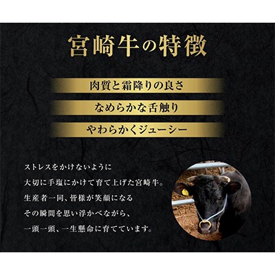 【発送月固定定期便】宮崎牛霜降り&赤身焼肉セット700g(4・6・8月)全3回