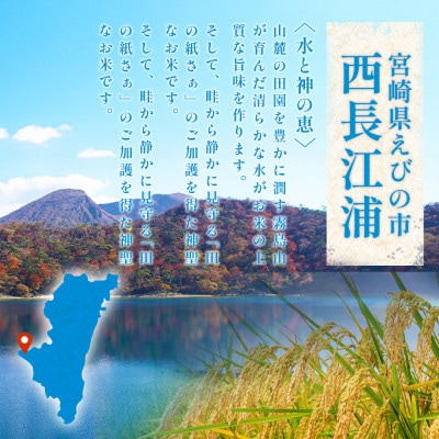 【令和7年産】 霧島の煌めき 無洗米 5kg