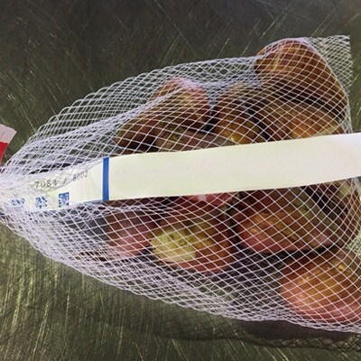 チューリップ球根 いちごブレンド 120球