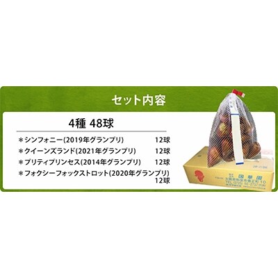 チューリップ球根 人気バルブオブザイヤーセット 4種48球 (各12球)