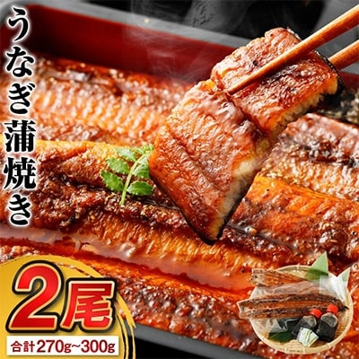 手さばき炭火焼き うなぎ蒲焼き2尾