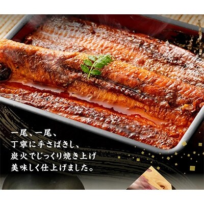 手さばき炭火焼き うなぎ蒲焼き2尾