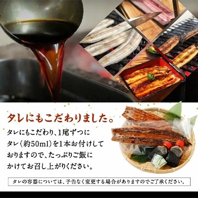 手さばき炭火焼き うなぎ蒲焼き2尾
