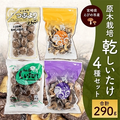 宮崎県えびの市産　原木栽培乾しいたけ　4種セット(粒よりどんこ・香信・小つぶ・スライス合計290g)