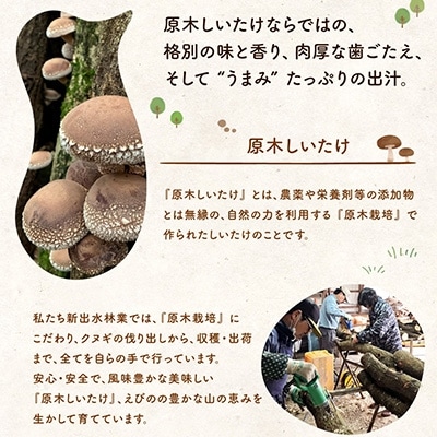 宮崎県えびの市産　原木栽培乾しいたけ　4種セット(粒よりどんこ・香信・小つぶ・スライス合計290g)