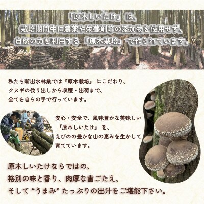 宮崎県えびの市産　原木栽培乾しいたけ　どんこ　170g　贈答用化粧箱入り 包装配送　