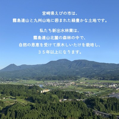 宮崎県えびの市産　原木栽培乾しいたけ　どんこ　170g　贈答用化粧箱入り 包装配送　