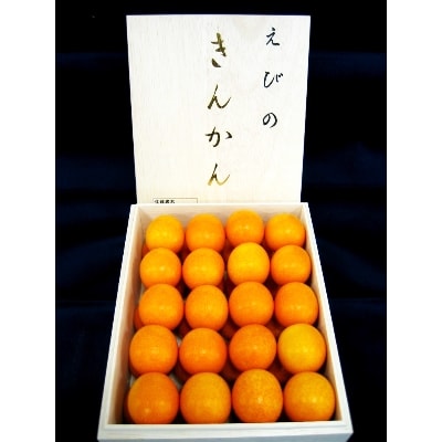 えびの産完熟金柑　約1kg