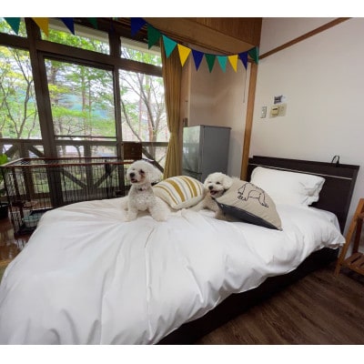 ホテル ピコ ラナイ えびの高原 愛犬同伴プラン一泊二食付きペア宿泊券