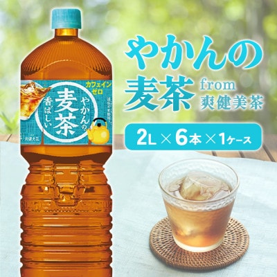 やかんの麦茶 from 爽健美茶 PET 2L×6本(1ケース) ノンカフェイン(えびの市)