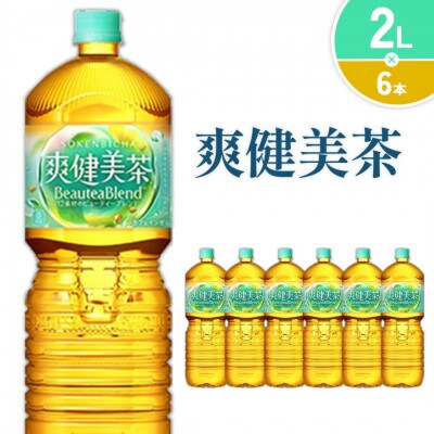 爽健美茶 PET 2L×6本 1ケース(えびの市)
