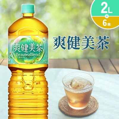 爽健美茶 PET 2L×6本 1ケース(えびの市)