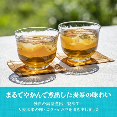 【毎月定期便】やかんの麦茶 from 爽健美茶 PET 650ml 24本1ケース(えびの市)全3回