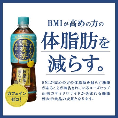 【毎月定期便】やかんの濃麦茶 from 爽健美茶PET 600ml×24本1ケース(えびの市)全2回