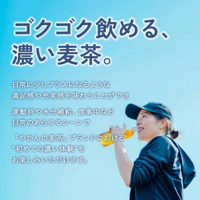 【毎月定期便】やかんの濃麦茶 from 爽健美茶PET 600ml×24本1ケース(えびの市)全3回