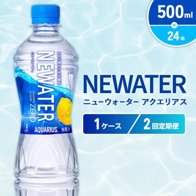 【毎月定期便】アクエリアス ニューウォーター 500ml×24本(1ケース)(えびの市)全2回
