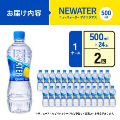 【毎月定期便】アクエリアス ニューウォーター 500ml×24本(1ケース)(えびの市)全2回