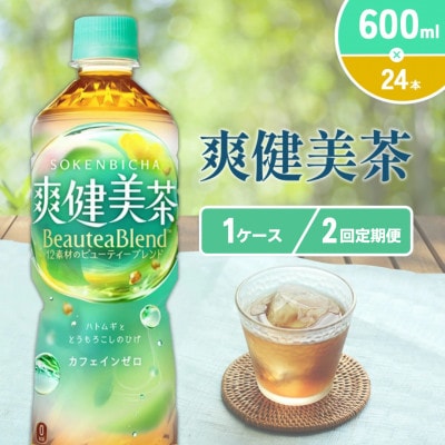 【毎月定期便】爽健美茶 PET 600ml×24本(1ケース)(えびの市)全2回
