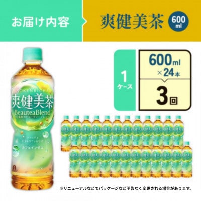 【毎月定期便】爽健美茶 PET 600ml×24本(1ケース)(えびの市)全3回