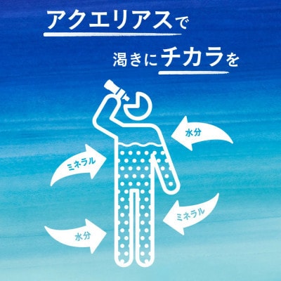 【毎月定期便】アクエリアス PET 500ml×24本 1ケース(えびの市)全2回
