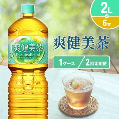 【毎月定期便】爽健美茶 PET 2L×6本 1ケース(えびの市)全2回