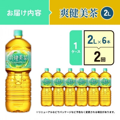 【毎月定期便】爽健美茶 PET 2L×6本 1ケース(えびの市)全2回
