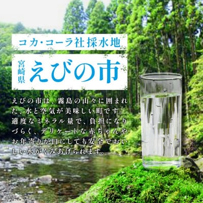 【毎月定期便】爽健美茶 PET 2L×6本 1ケース(えびの市)全2回