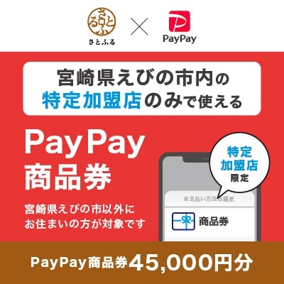宮崎県えびの市　PayPay商品券(45,000円分)※地域内の一部の加盟店のみで利用可