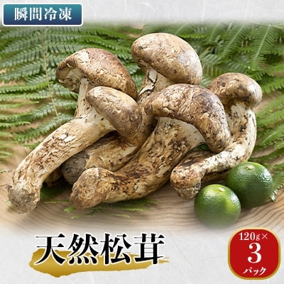 岐阜県中津川　瞬間冷凍天然松茸　360g