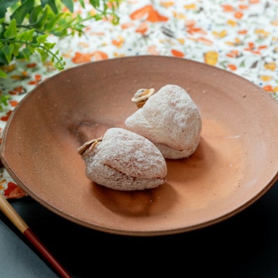 【新柿先行予約】柿の宴8個入　和菓子処一茶堂　メディア多数紹介
