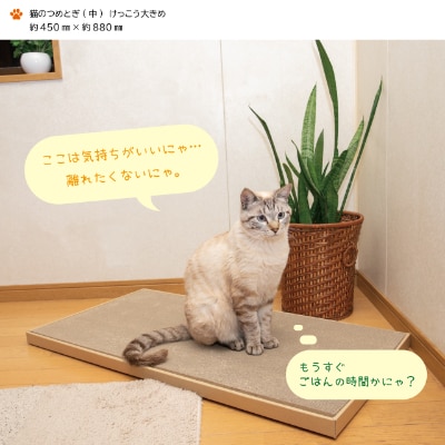 猫のつめとぎ(中)【けっこう】おおきめサイズで2枚入り!