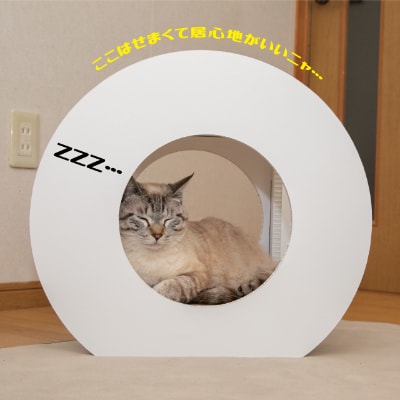 猫のつめとぎ+House「まる」(ぷらすはうすまる)