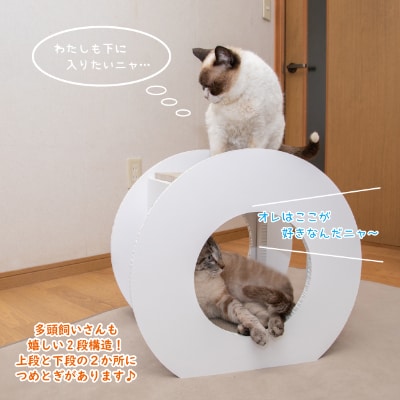 猫のつめとぎ+House「まる」(ぷらすはうすまる)