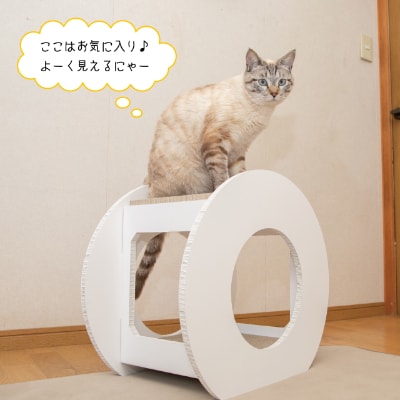 猫のつめとぎ+House「まる」(ぷらすはうすまる)