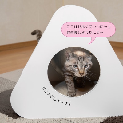 猫のつめとぎ+House「さんかく」(ぷらすはうすさんかく)