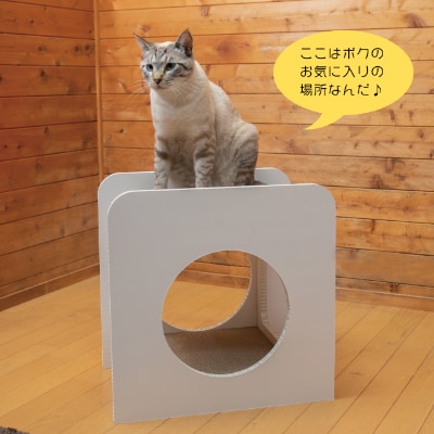 猫のつめとぎ+House「しかく」(ぷらすはうすしかく)