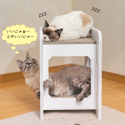 猫のつめとぎ+House「しかく」(ぷらすはうすしかく)